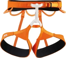 Hirundos harness in use